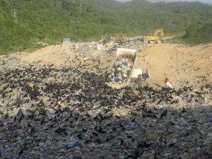Vermüllung der Meere durch Unmengen von Plastik ist ein riesiges Umweltproblem