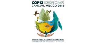 04-12-16-logo-biodiversitaetskonferenz