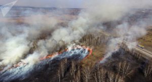 In der Europäischen Union sind im vergangenen Jahr rund 340.000 Hektar Wald verbrannt ...; Bild Alexander Kriaschew sputnik